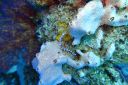 DSC00453.JPG