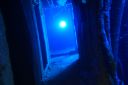 DSC00458.JPG