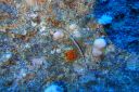 DSC00467.JPG