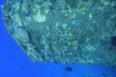DSC00479.JPG