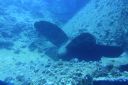 DSC00501.JPG