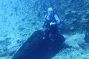 DSC00503.JPG
