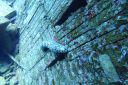 DSC00506.JPG