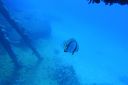 DSC00513.JPG