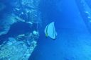 DSC00514.JPG
