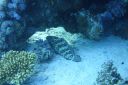 DSC00515.JPG