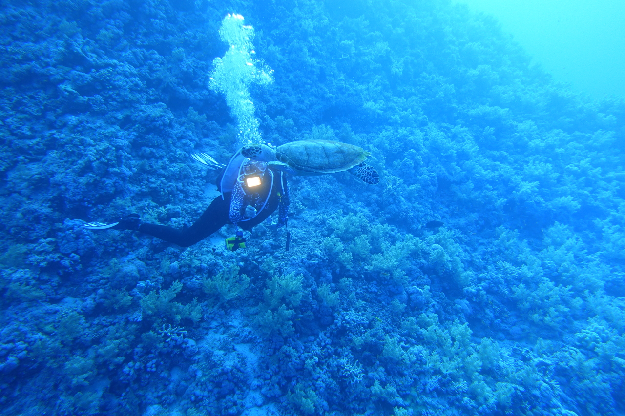 DSC00001.JPG
