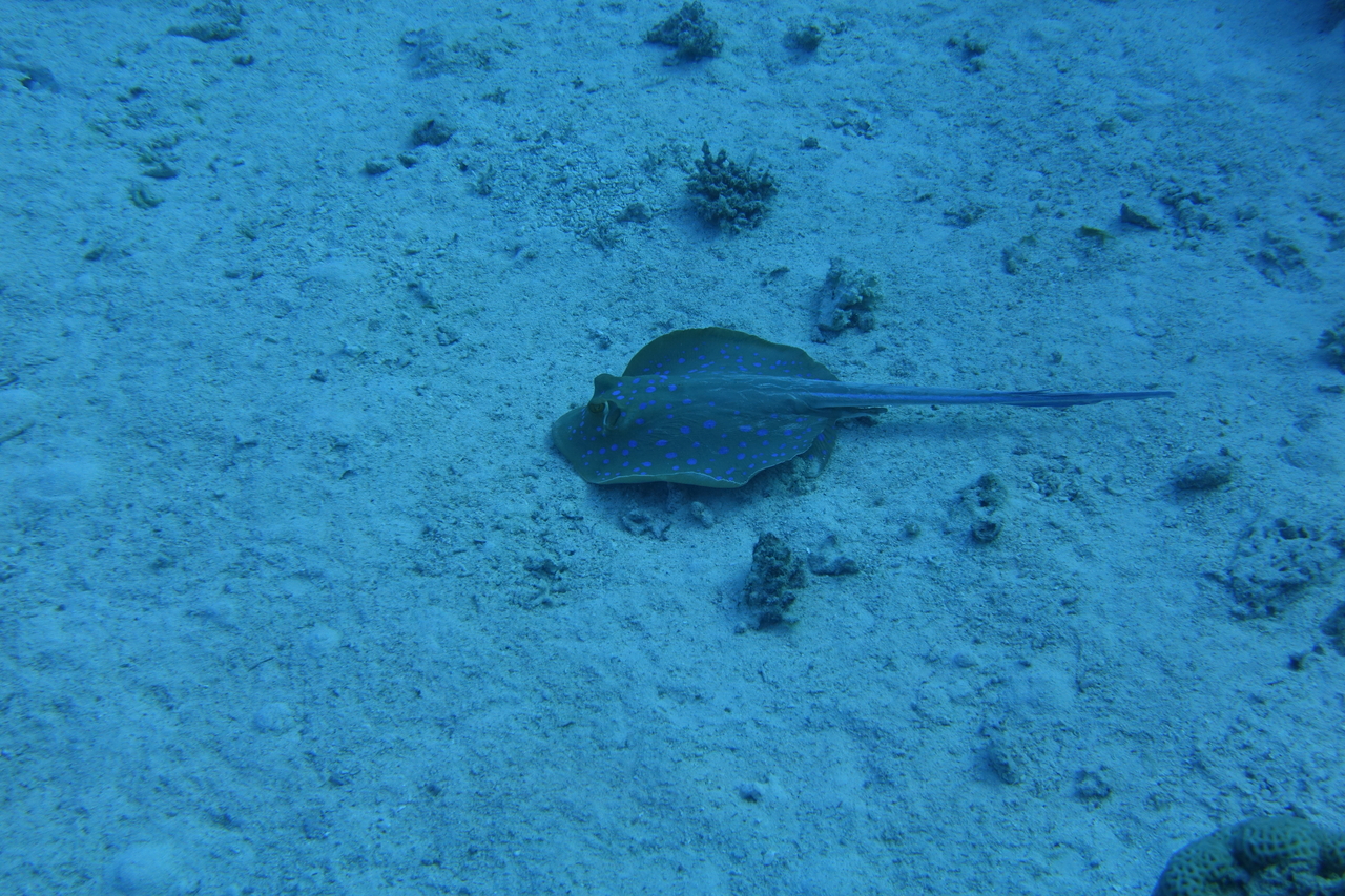 DSC00012.JPG