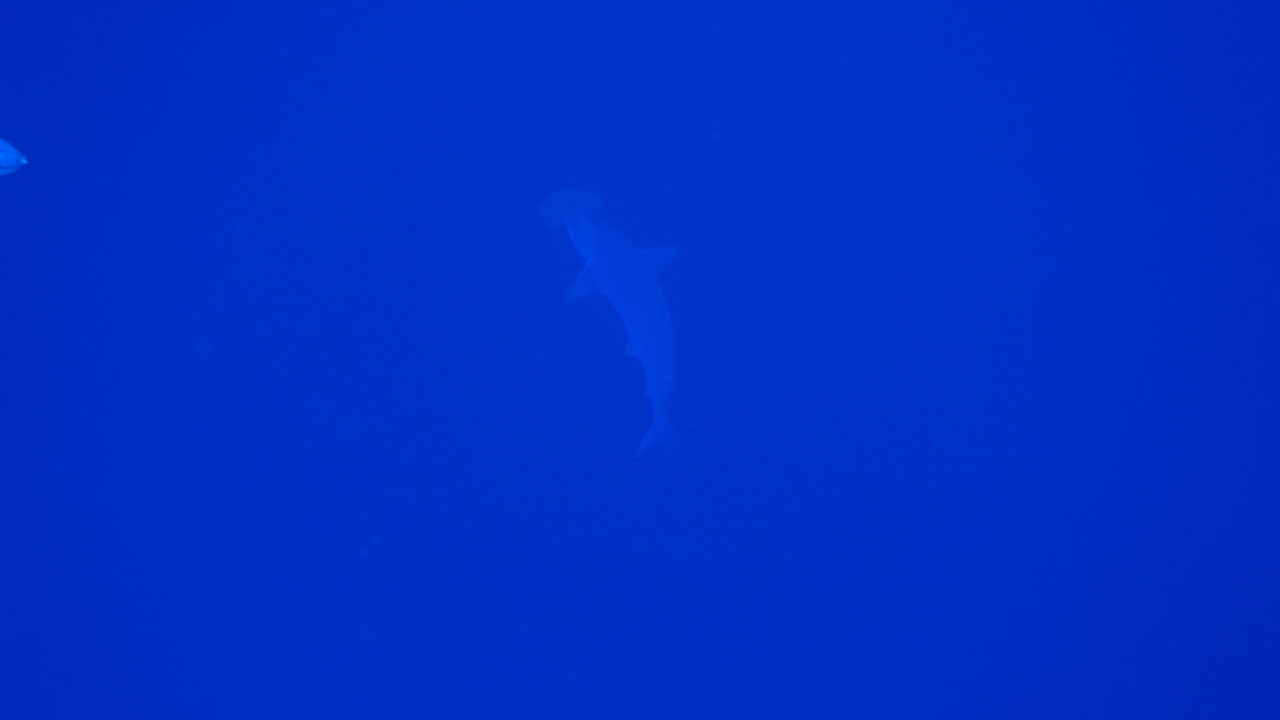 DSC00041.JPG