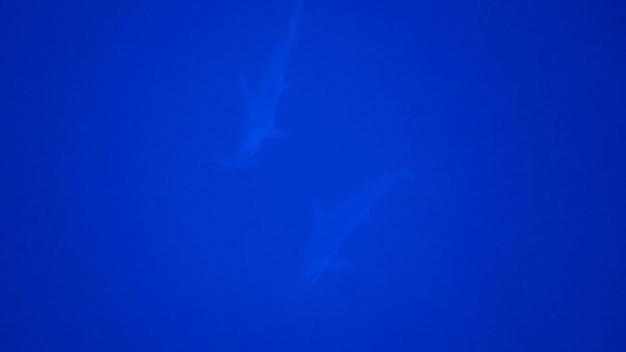 DSC00044.JPG