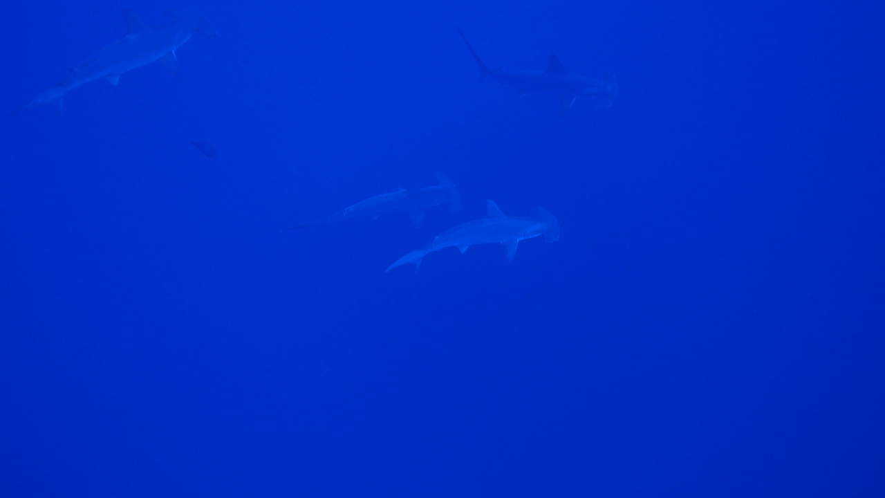 DSC00046.JPG