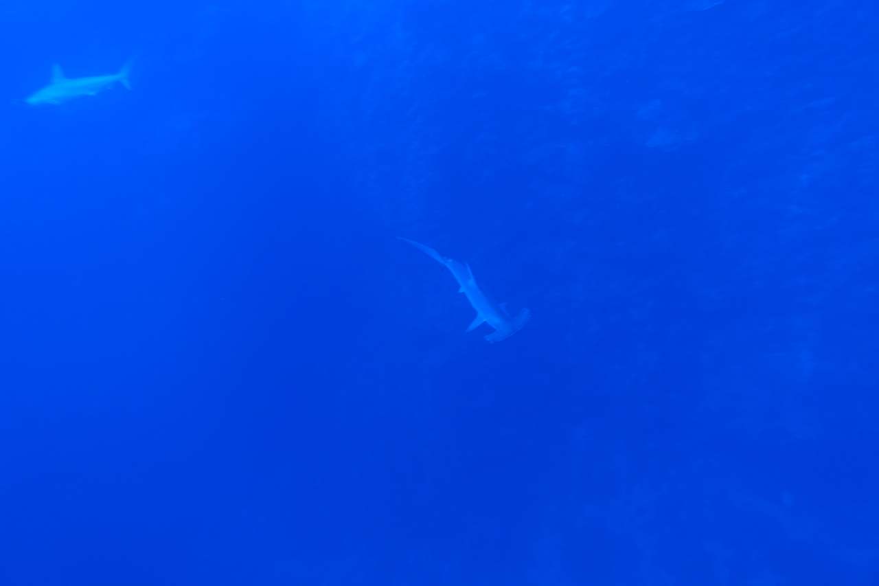 DSC00055.JPG
