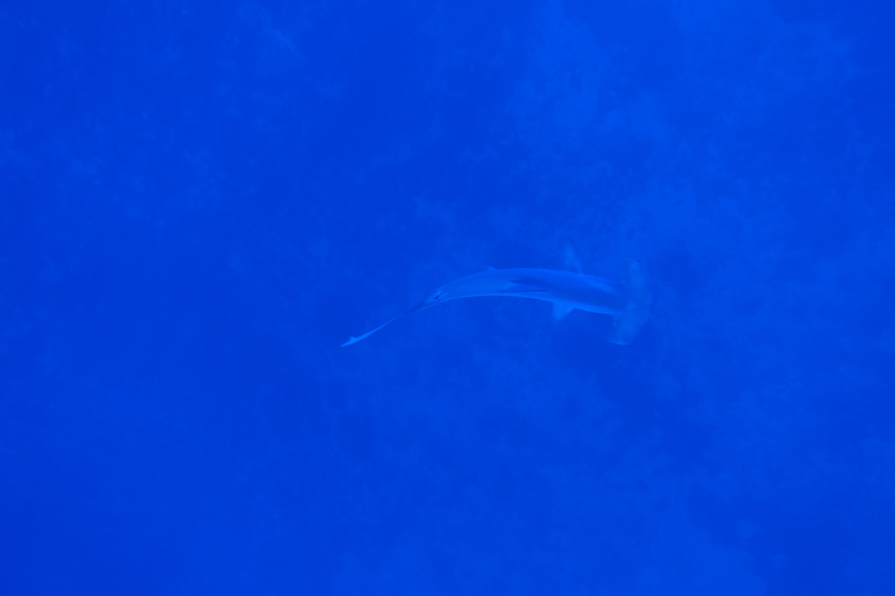 DSC00056.JPG