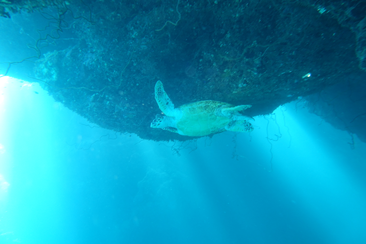 DSC00079.JPG