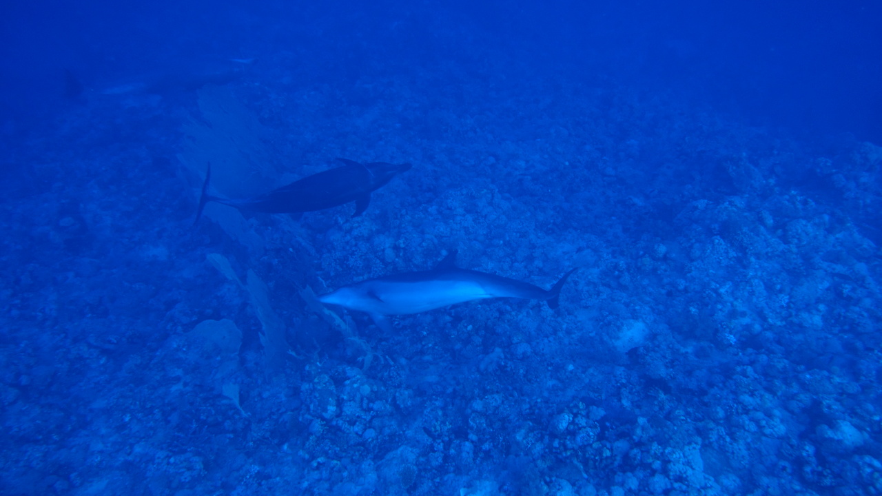 DSC00089.JPG
