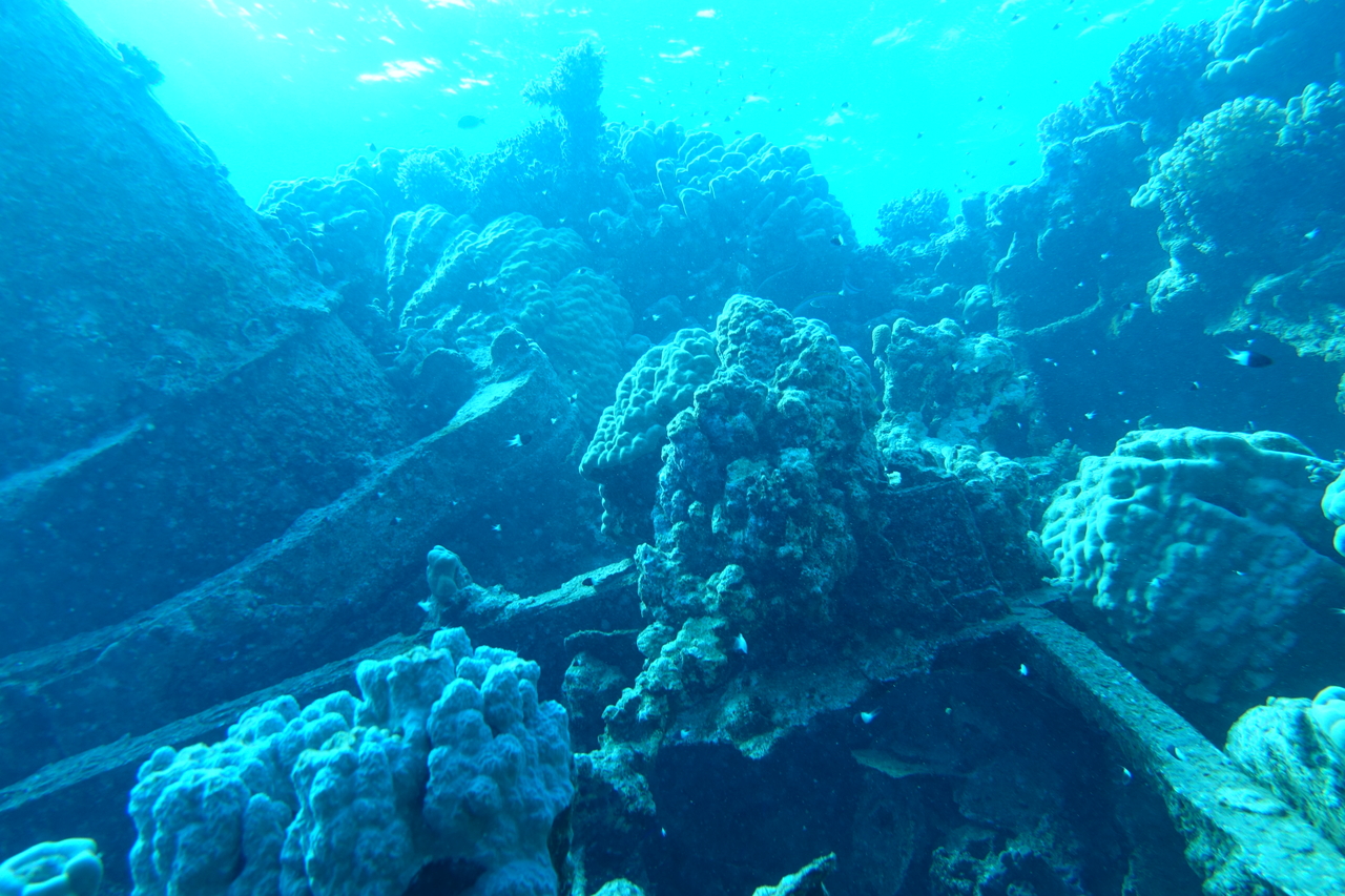DSC00113.JPG