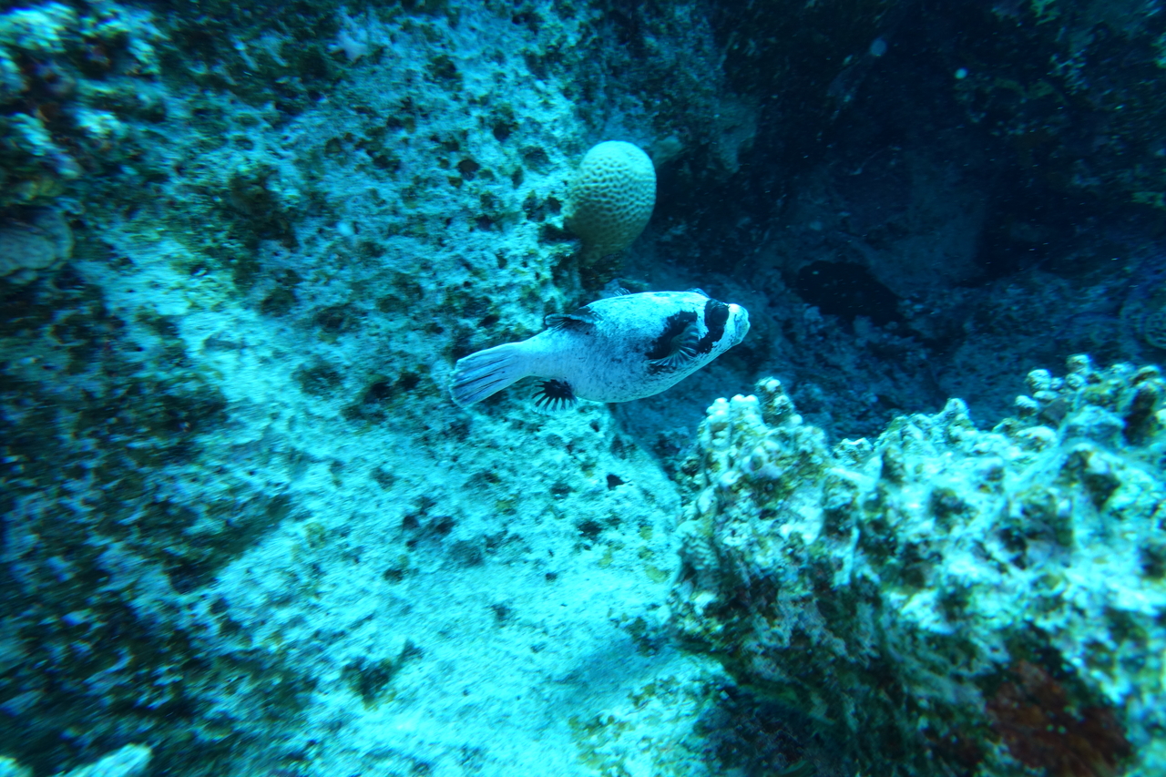DSC00121.JPG