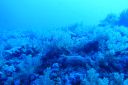 DSC00007.JPG