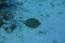 DSC00014.JPG