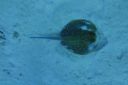 DSC00017.JPG