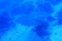 DSC00028.JPG