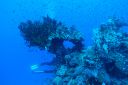 DSC00081.JPG