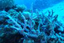 DSC00083.JPG