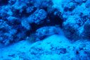 DSC00084.JPG