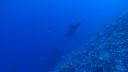 DSC00086.JPG