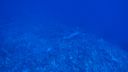 DSC00088.JPG
