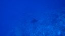 DSC00090.JPG