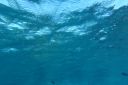 DSC00101.JPG