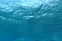 DSC00104.JPG