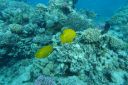 DSC00105.JPG