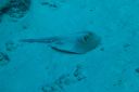 DSC00106.JPG