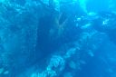 DSC00112.JPG