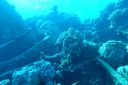 DSC00113.JPG