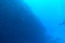DSC00114.JPG