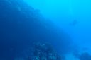 DSC00115.JPG