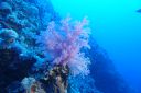 DSC00116.JPG
