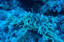 DSC00119.JPG