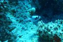 DSC00121.JPG