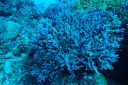 DSC00122.JPG