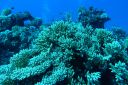DSC00124.JPG