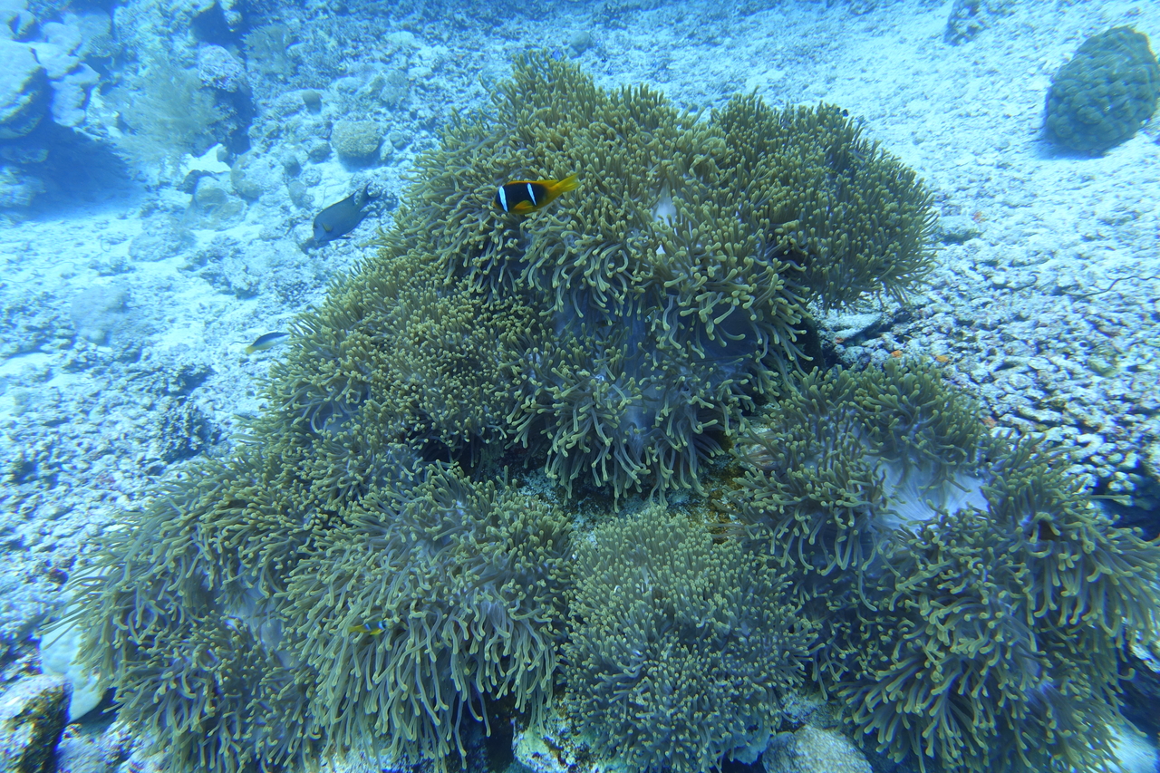 DSC00006.JPG