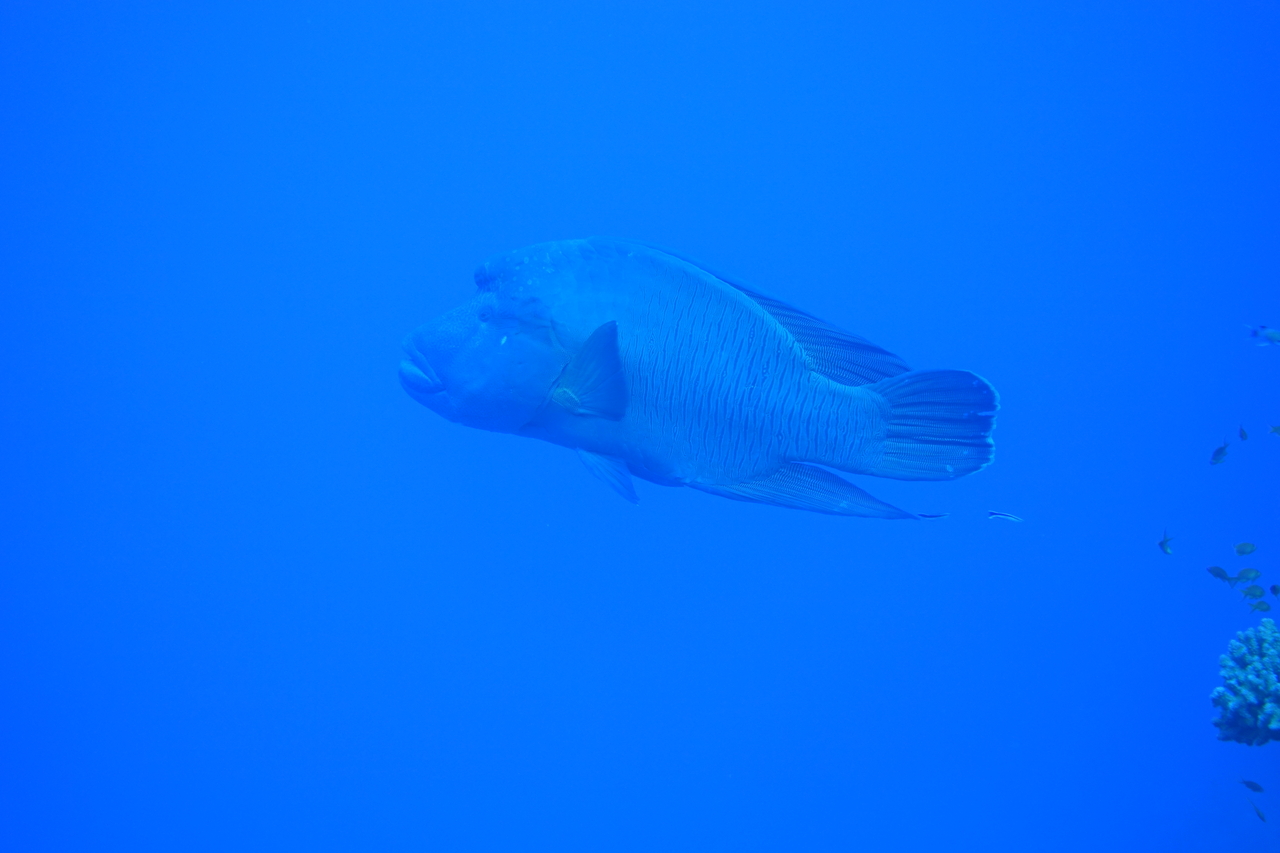 DSC00015.JPG