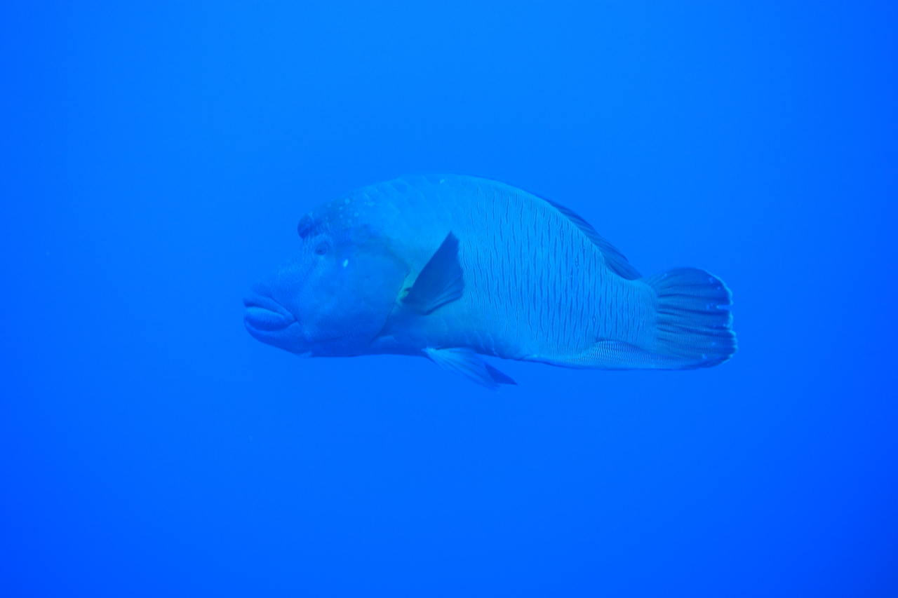 DSC00016.JPG