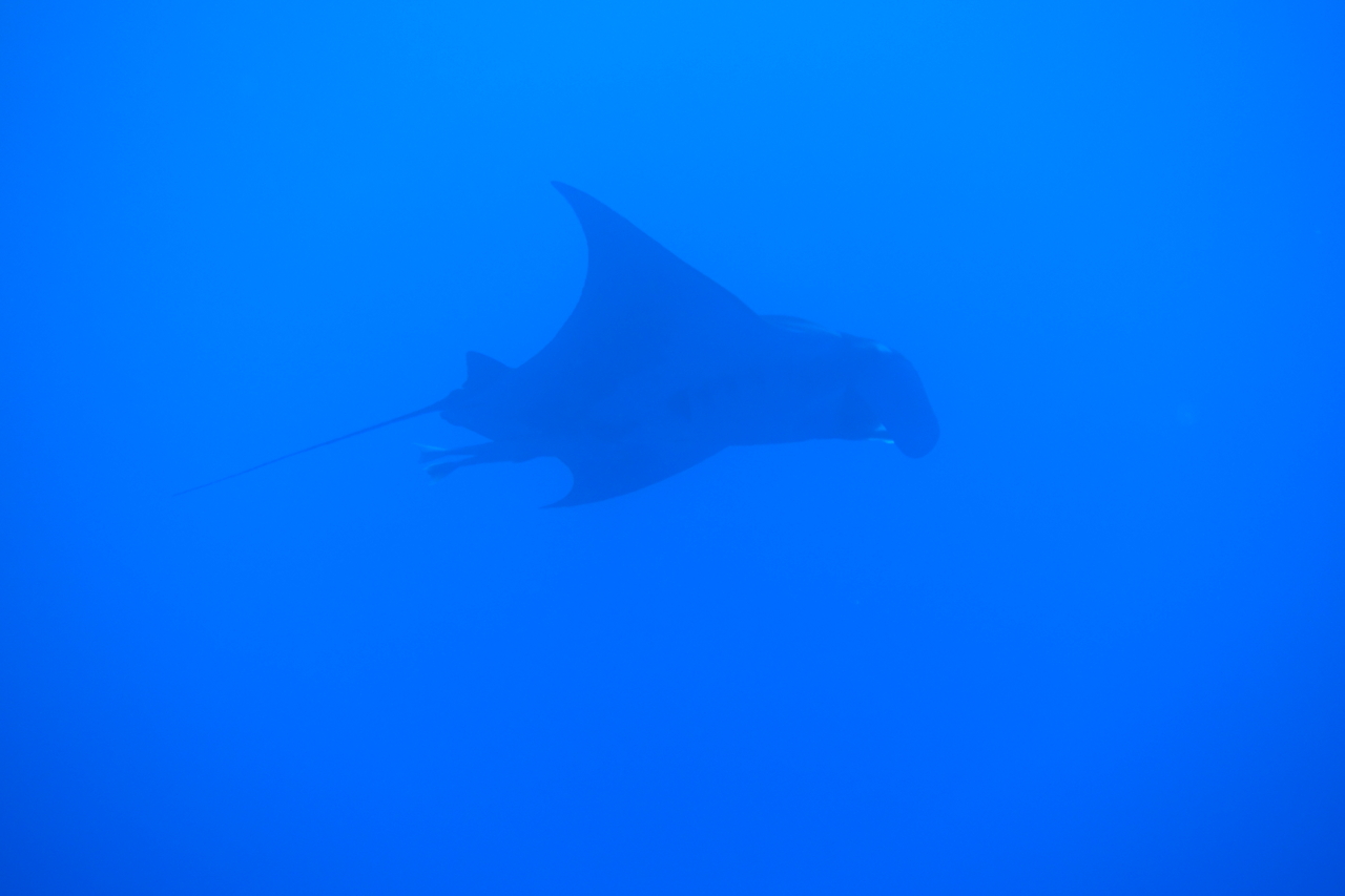 DSC00025.JPG