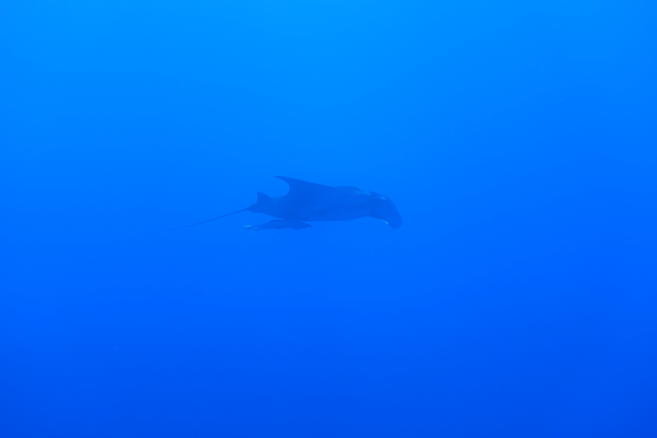DSC00026.JPG