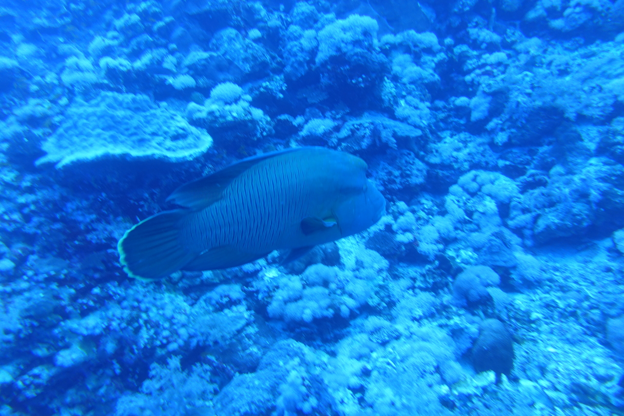 DSC00040.JPG